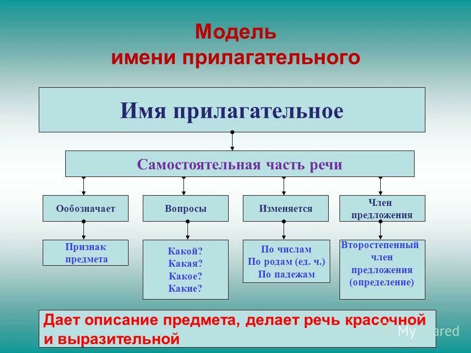 Урок имя прилагательное 5 класс фгос ладыженская. Имя прилагательное. Имя прилагательное схема. Схема по теме имя прилагательное.