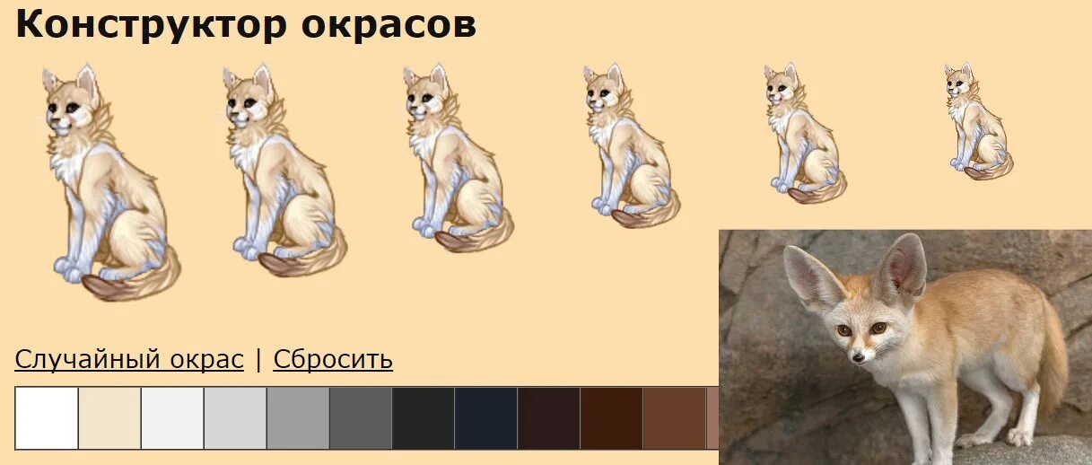 Окрасы catwar. Конструктор окрасов. Конструктор окрасов котов. CATWAR окрасы. Конструктор окрасов старый.