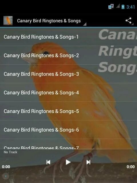 Канарейка песня. Canary Bird перевод. Bird loop рингтон. Канарейка песня текст. Рингтон bird