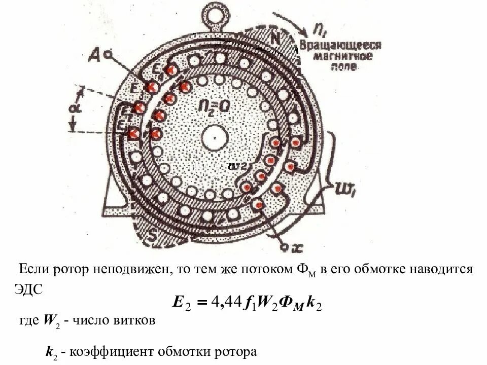 Эдс статора и ротора. Эдс статора. эдс неподвижного ротора. формулу эдс, наведенную в обмотке ротора..