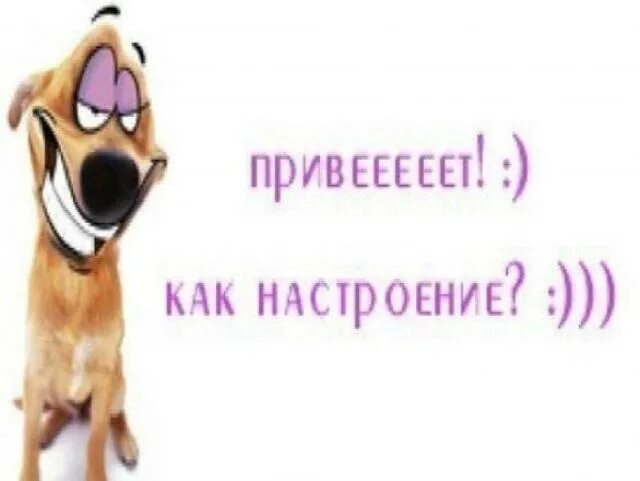 Как девчонки как дела песня