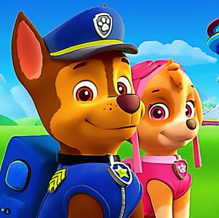 Paw Patrol Chase and Skye. Шенячийпатруль патруль. Мультфильмщкнячий пвтруль.