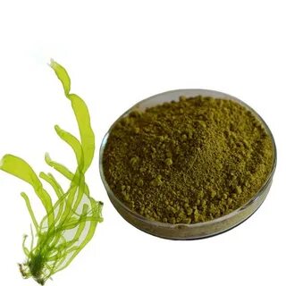 Plant extract