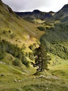 Закан