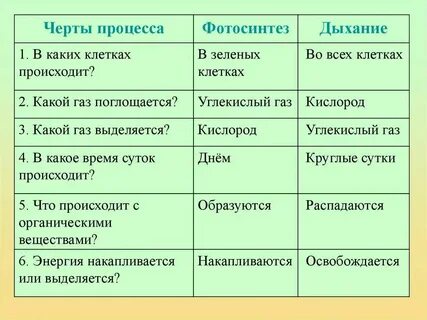 Таблица фотосинтез дыхание 6 класс