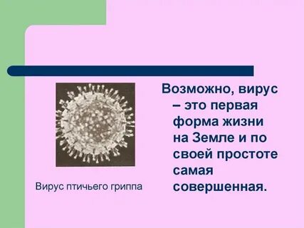 Что относится к неклеточным