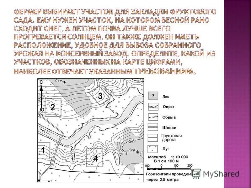 Фермер выбирает участок для закладки нового фруктового. Фермер выбирает участок для фруктового сада. Фермер выбирает участок для закладки. Фермер выбирает участок для закладки нового фруктового сада. Фермер выбирает участок для закладки.