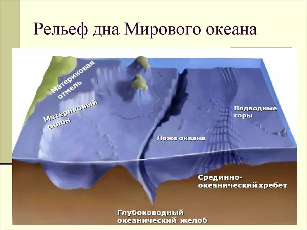 Форма рельефа дна океана. Формы рельефа дна мирового океана. Строение рельефа дна мирового океана. Рельеф дна мирового океана. 5 География. Срединно-Океанические хребты дна мирового океана.