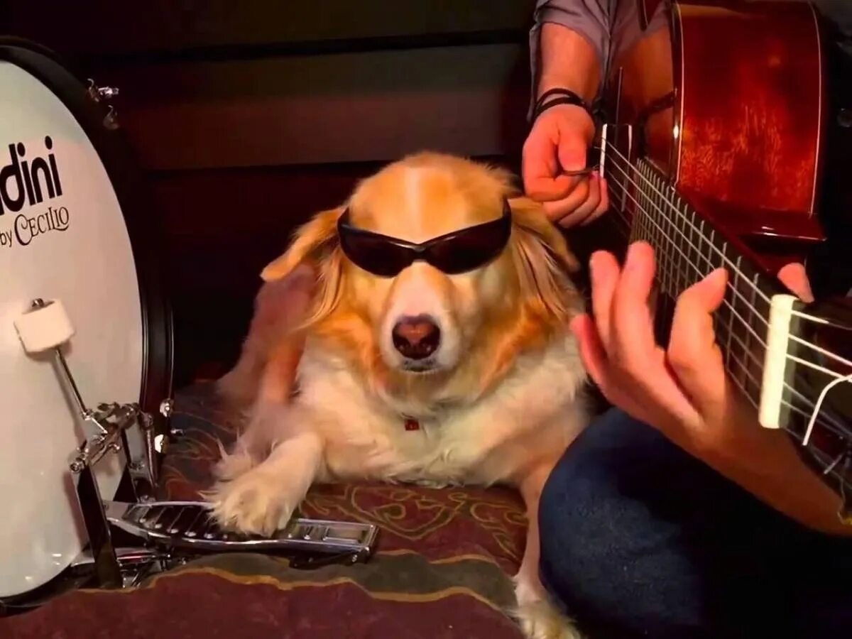 Наушники для новорожденных. Смешные дети. Музыкальные дети. Детская мелодия без слов. Крутой диджей.