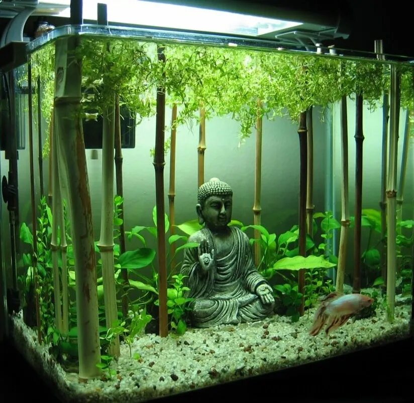 Аквариум aquarium. Акваскейп 35 литров. Роголистник акваскейп. Акваскейп Будда. Декор для аквариума.