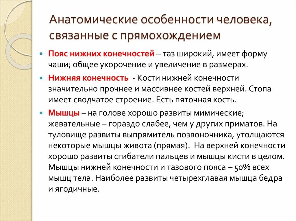 Один из признаков прямохождения современного человека. Особенности мышечной системы человека в связи с прямохождением. Особенности человека связанные с прямохождением. Анатомические особенности человека. Анатомические особенности человека связанные с прямохождением.