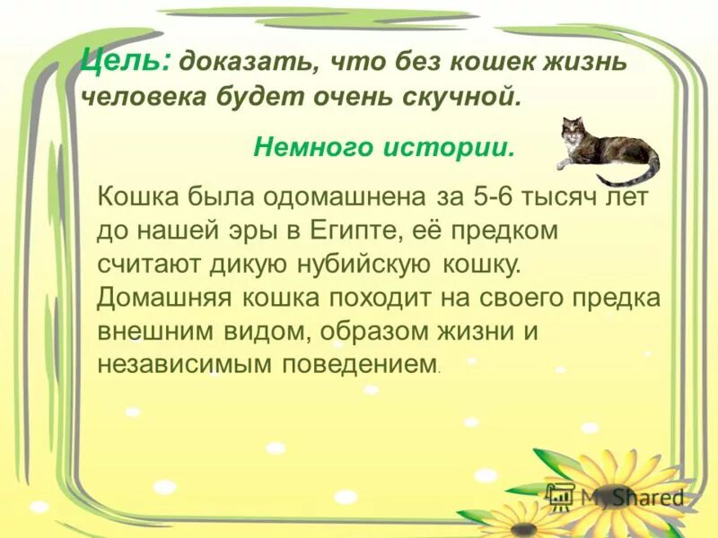 образ жизни кошек.