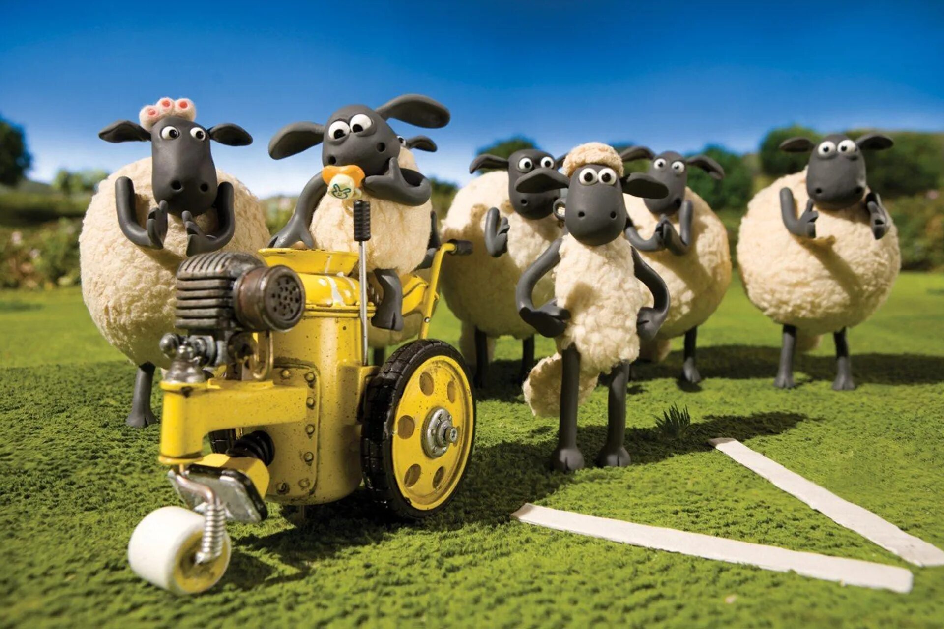 When the sheep