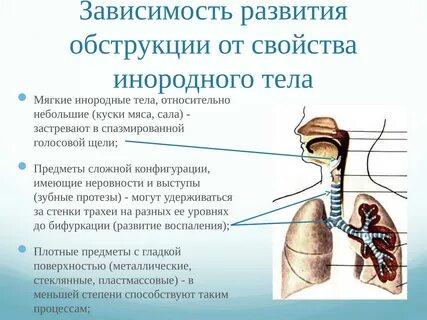 Пища попала в трахею