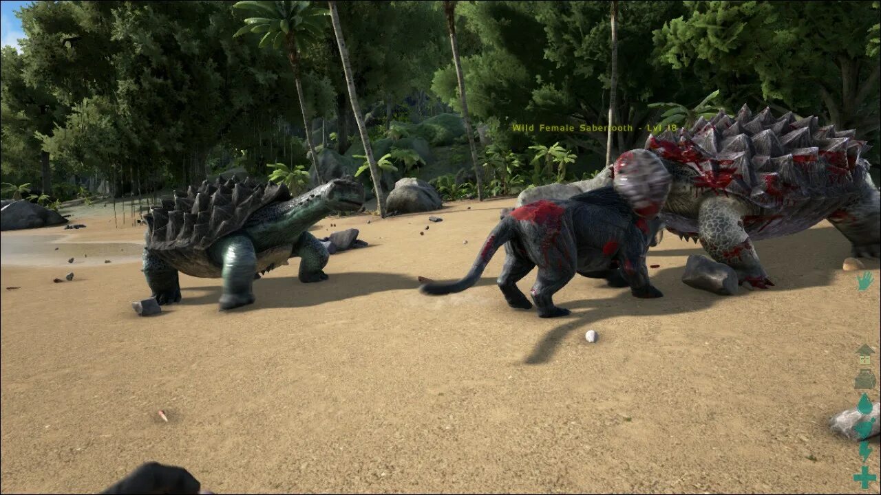 Черепаха карбонемис. Карбонймис арк арк арк. Карбонемис арк. Арк сурвайвал карбонемис. Карбонемис арк.