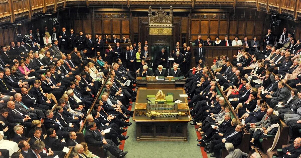 Выбор парламент. Выбор парламент