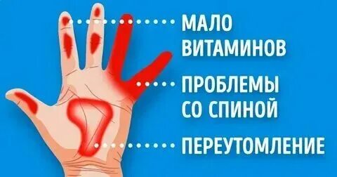 Почему колит кисти. Внутренняя сторона ладони. Точки на ладони для массажа здоровья. Почему колит кисти. Синдром рейно дротаверин.