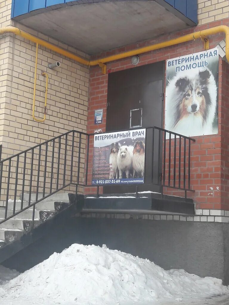 Рыбинская ветеринарная