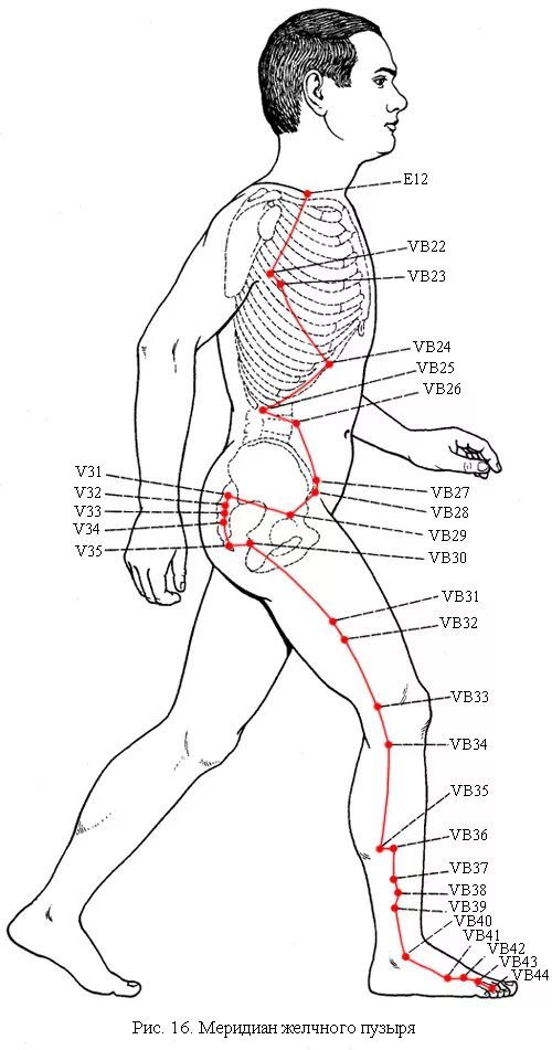 Меридиан желчного пузыря точки. Точки меридиана желчного пузыря на теле. Точки меридиана желчного пузыря на ноге. Меридиан желчного пузыря точки расположения.