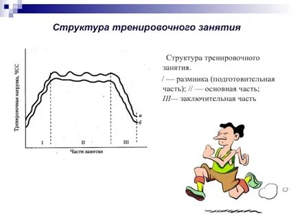 Структура тренировочного занятия