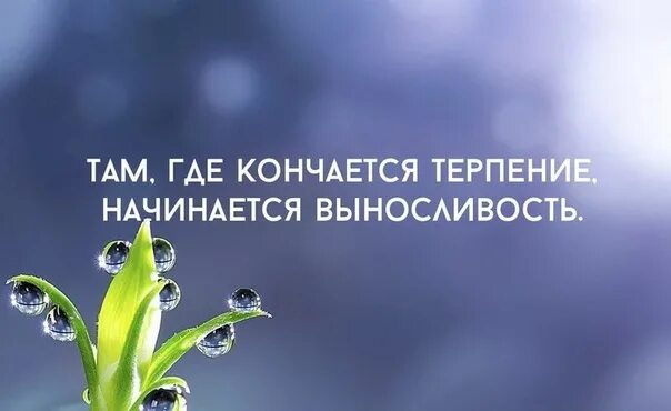 Все начинается там где кончается ночь. Там где кончается терпение начинается выносливость картинки. там где заканчивается терпение начинается выносливость конфуций. терпение и выносливость. терпение заканчивается там.