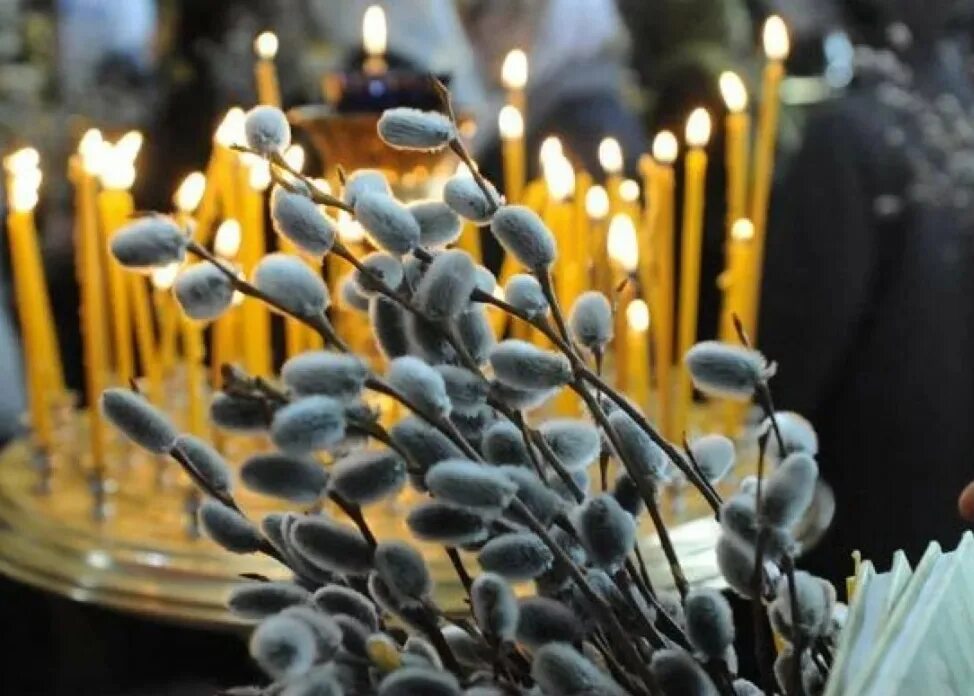 Пасха католическая и православная в 2022. Букет из вербы. Вербное воскресенье освящение вербы. Вход господень в иерусалим вербное воскресенье. Вербное воскресенье поздравления.