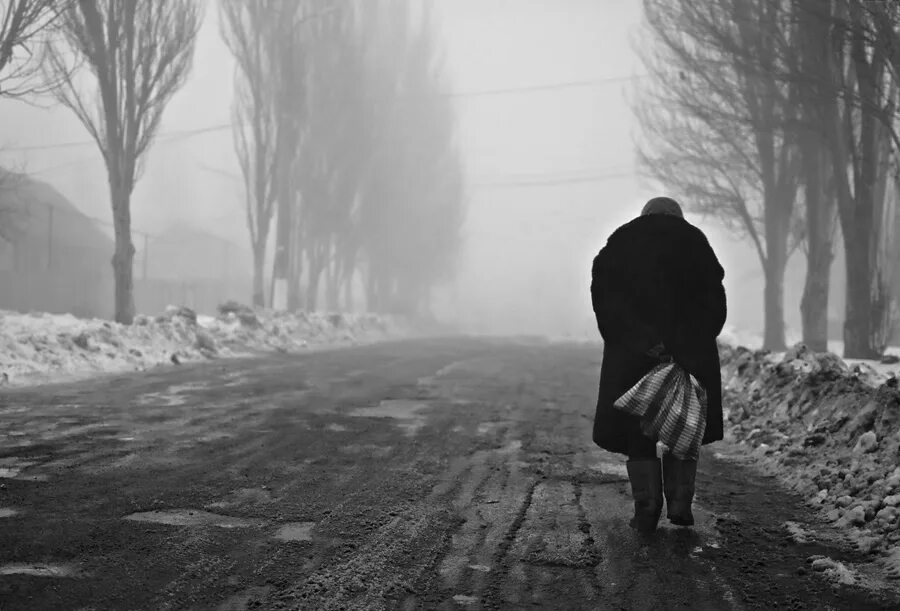 Сегодня шла ты одиноко