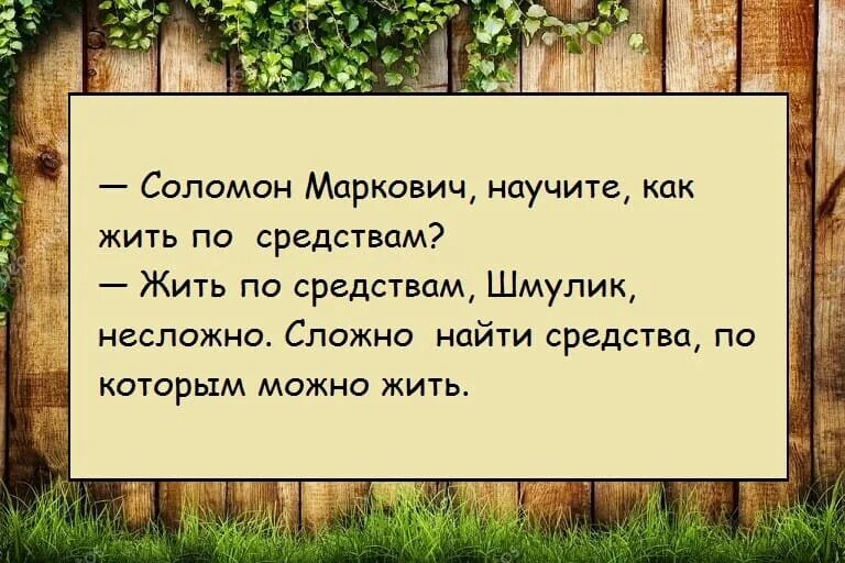 Совсем позабыл. Как говорила тетя Циля. Жить по средствам картинки. Анекдоты от тети Цили. Анекдот про Цилю.