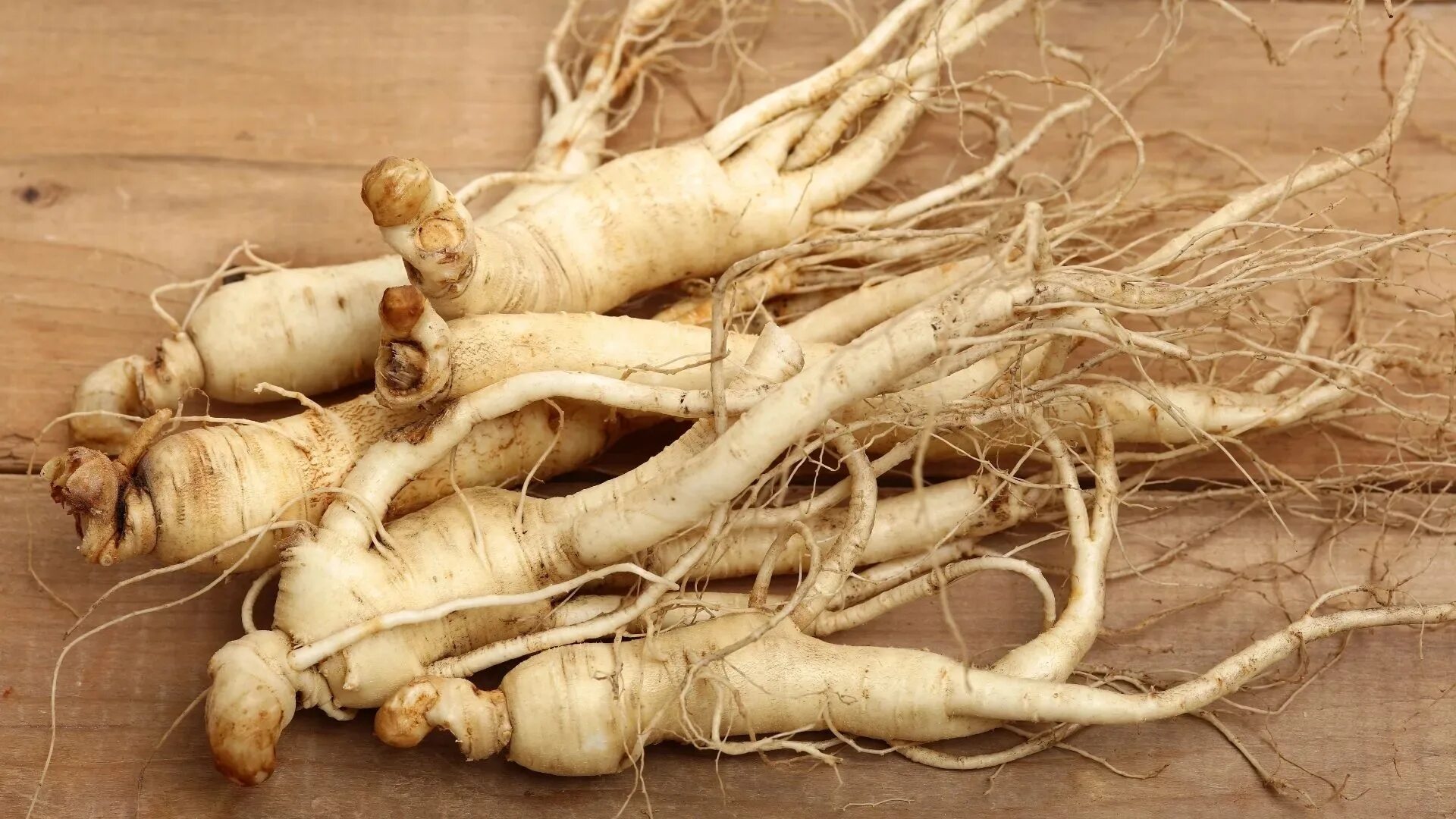 Корешок дерева. Куча веток. Эстетическая корень. Ashwagandha корень. Копеечник чайный красный корень.