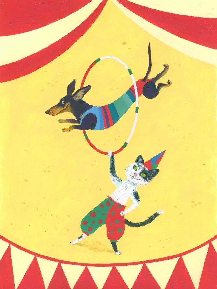 There a funny dog at the circus