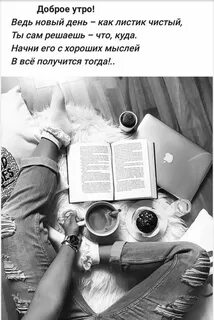 Новый ведь