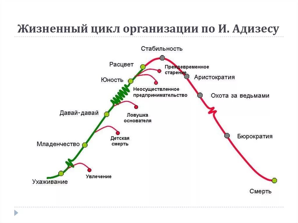 Этапы развития организации особенности этапов. Фазы жизненного цикла фирмы. Стадии жизненного цикла организации таблица. Фазы жизненного цикла фирмы. Этапы развития жизненного цикла организации.