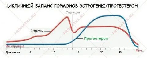Гормональный баланс