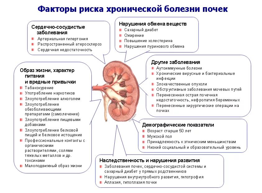 Как проявляется болезнь почек у мужчин. Факторы развития хронического гломерулонефрита. Пиелонефрит гломерулонефрит острая почечная недостаточность. Симптомы заболевания почек. Симптомы поражения почек.