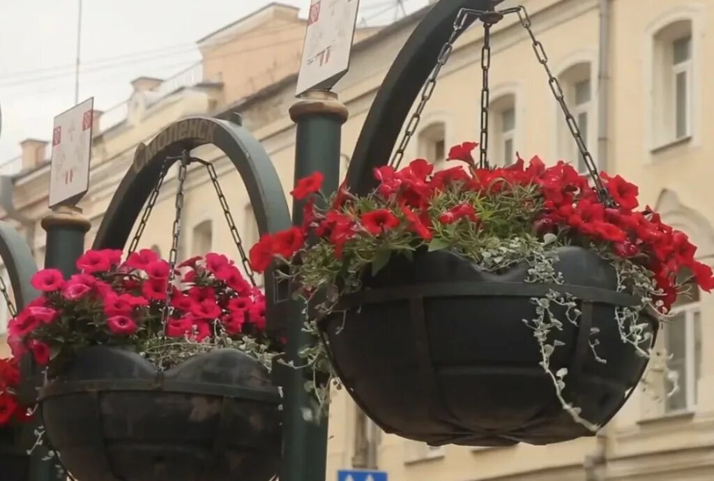 Городские цветы смоленск. Цветочный магазин смоленск. Лопатинский парк смоленск. Фото директора зеленстрой в городе смоленска. Городские цветы смоленск.