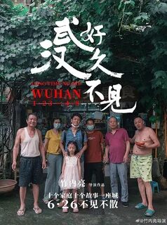 Long Time No See, Wuhan (2020) ⭐ 6.8 Documentary 