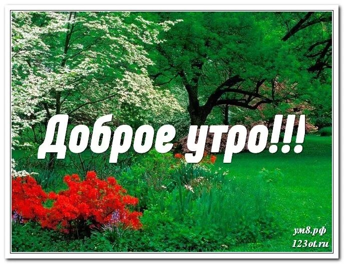 Доброе утро тик ток на русском. Тик-ток с добрым утром. Тик-ток бесплатные открытки с добрым утром. Тик ток открытки доброе утро. Тик ток открытки с добрым утром оригинальные.