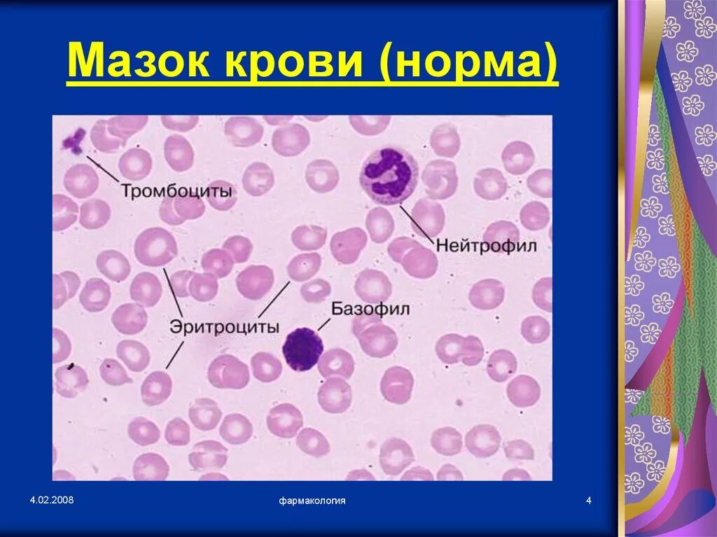 Норма эритроцитов мазок