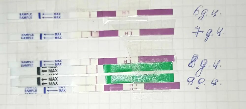 После зачатия может быть овуляция. Болит грудь после овуляции. test на беременность. начала болеть грудь когда будет овуляция.