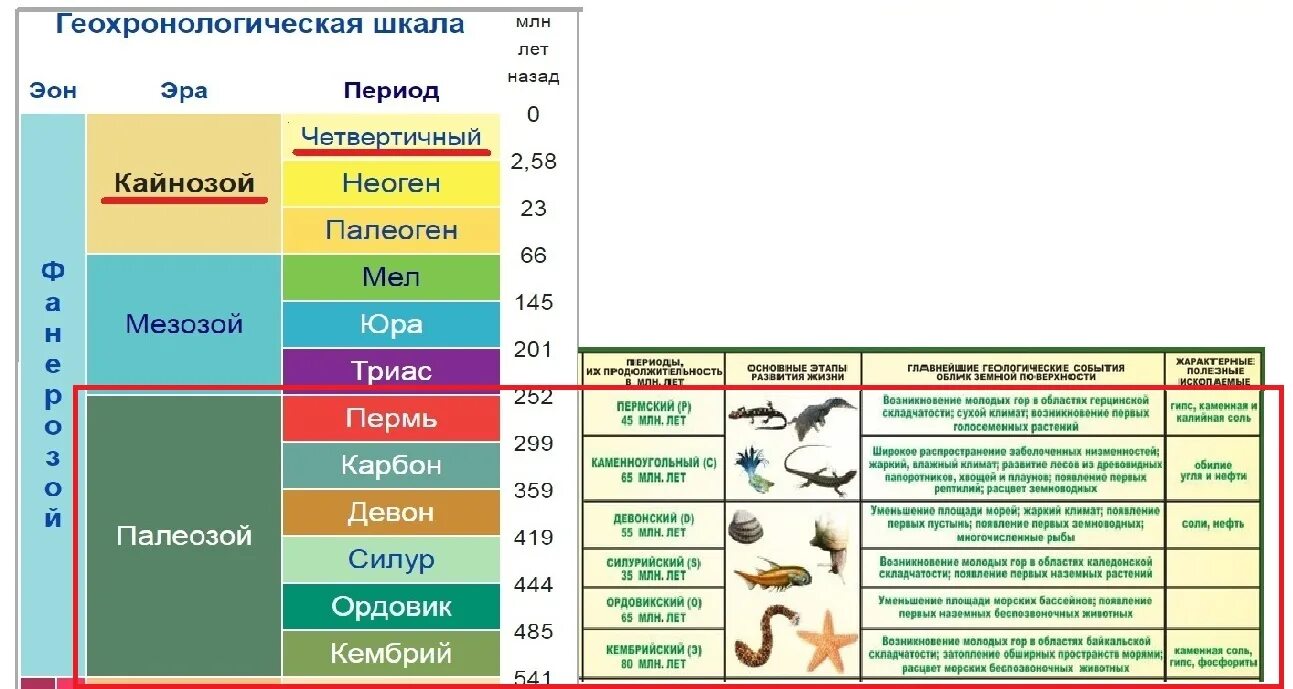 300 млн лет назад какой период