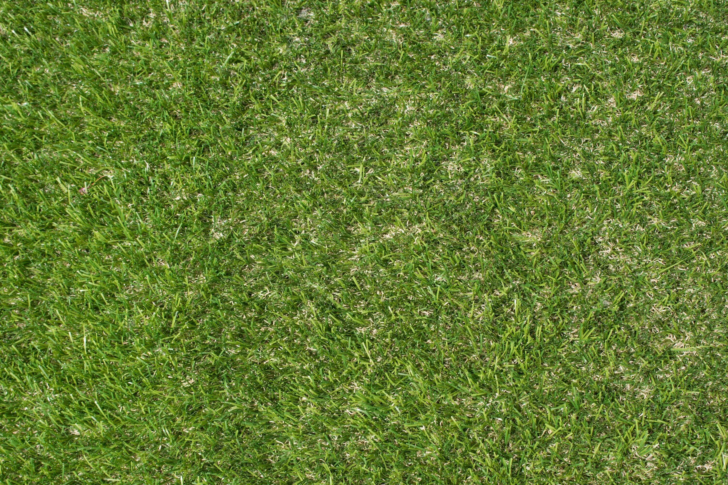 Пушистый газон. Дерн трава. Текстура трава архикад. Газон в 3d max. Газон текстура сбоку.