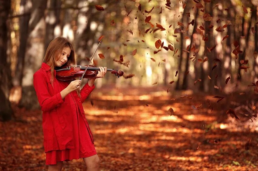 Фотосессия со скрипкой. Девушка со скрипкой в лесу. Скрипачка в парке. Осень девушка со скрипкой. Осенние скрипки