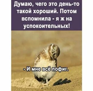 Хорошо что он такой
