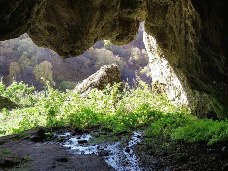 Гришкина балка кисловодск. Гришкина балка кисловодск. Карстовые пещеры гришкина балка. Карстовые пещеры гришкина балка. Гришкина балка сталактитовые пещеры.