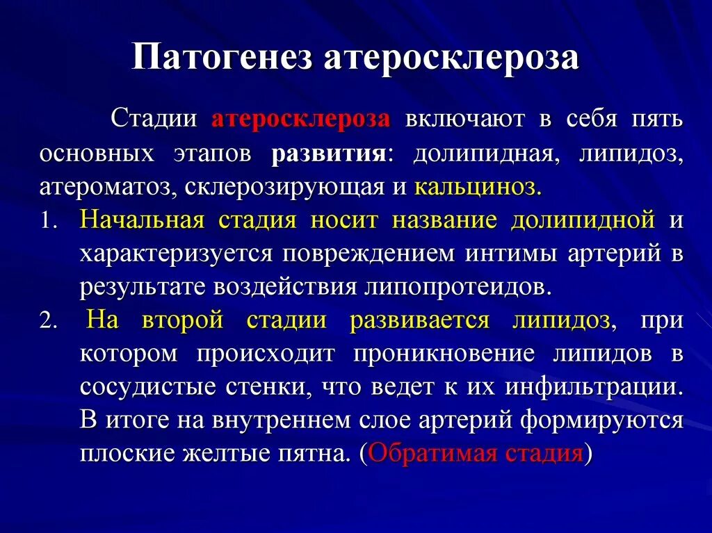 Патогенез и клиническая картина. Механизм развития атеросклероза патанатомия. Патогенез атеросклероза патофизиология. Механизмы развития атеросклероза патфиз. Атеросклероз бляшка патогенез.