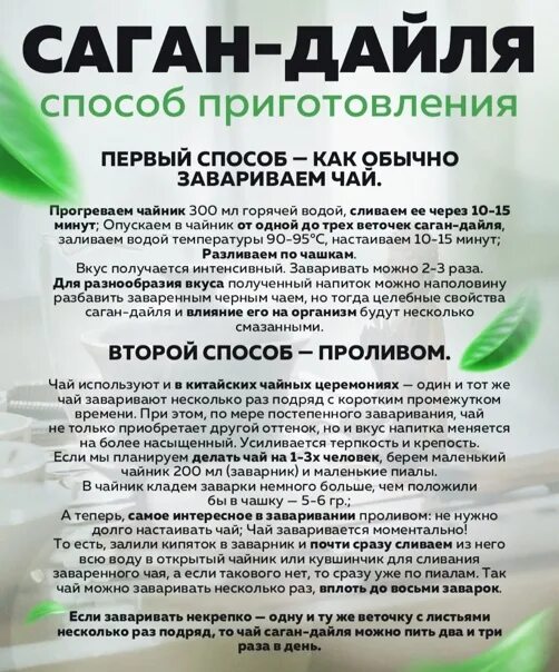 Чай саган дайля как пить правильно. Саган чай. саган-дайля чай. саган-дайля трава. чай из саган дайля.