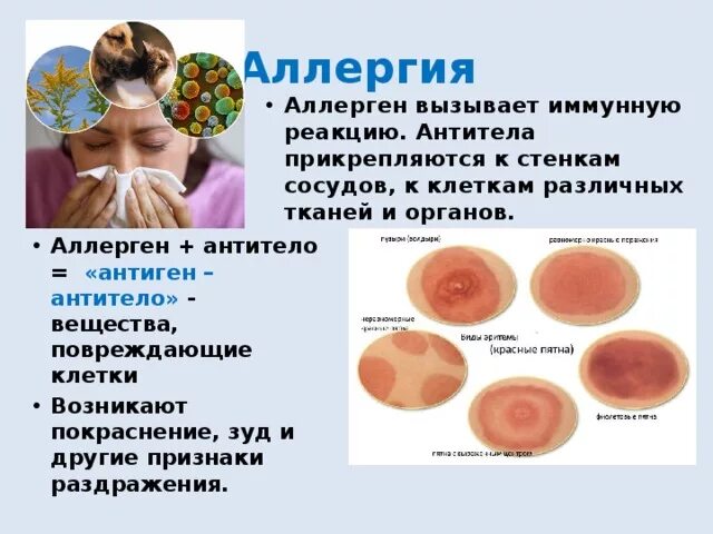 Вредными аллергическую реакцию вызвать