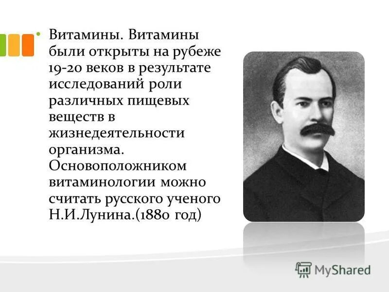 В каком веке лунин открыл витамины. В каком веке лунин открыл витамины