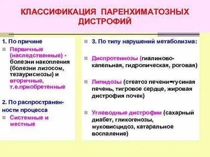 Классификация дистрофий