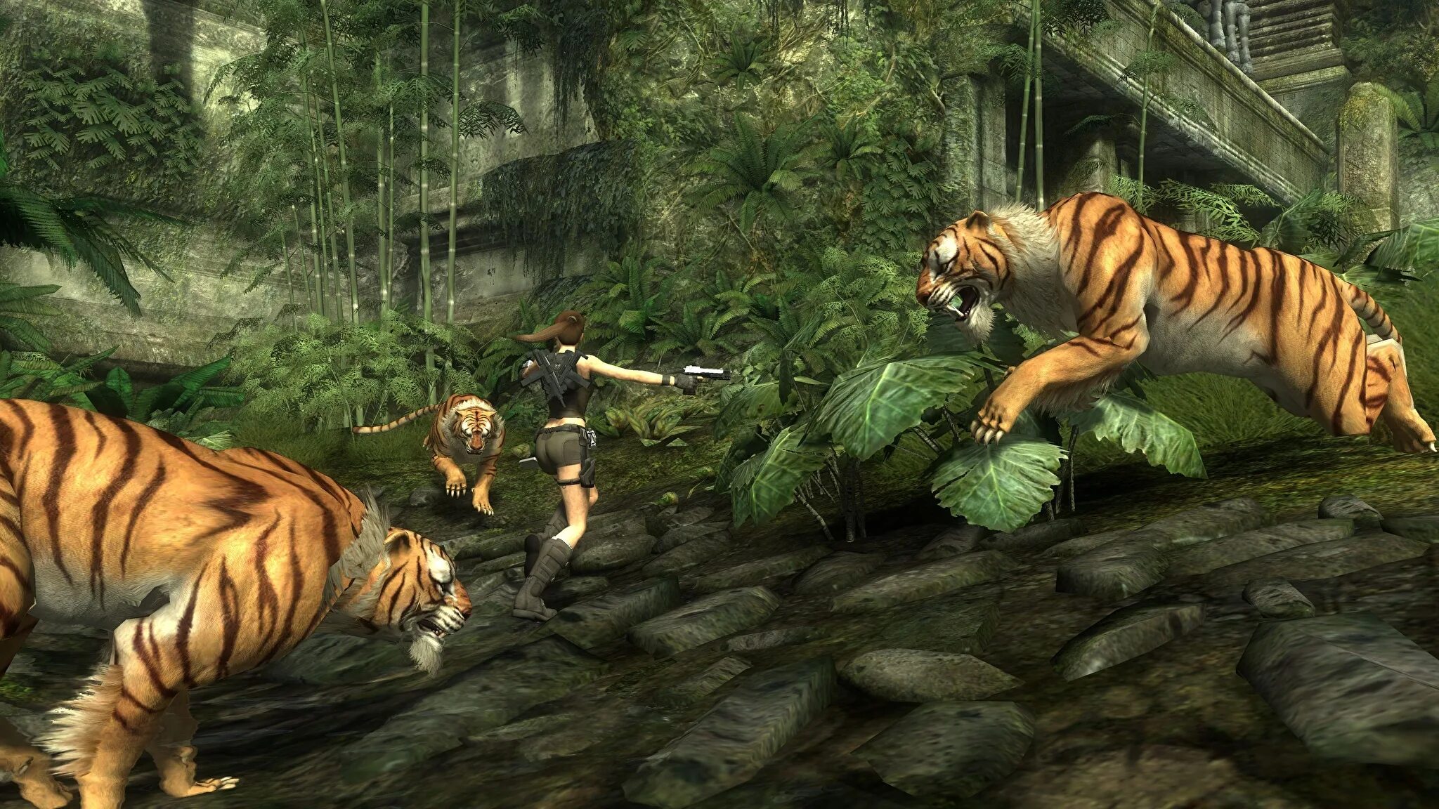 Игра где тигр. Tomb raider: anniversary. игры для тигры. игра тигрят.